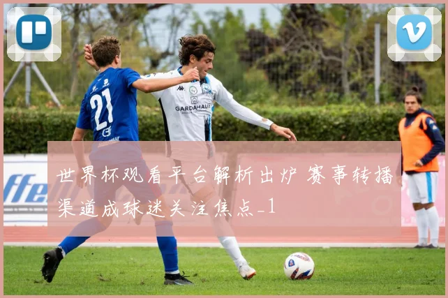 世界杯观看平台解析出炉 赛事转播渠道成球迷关注焦点_1