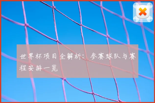 世界杯项目全解析:参赛球队与赛程安排一览