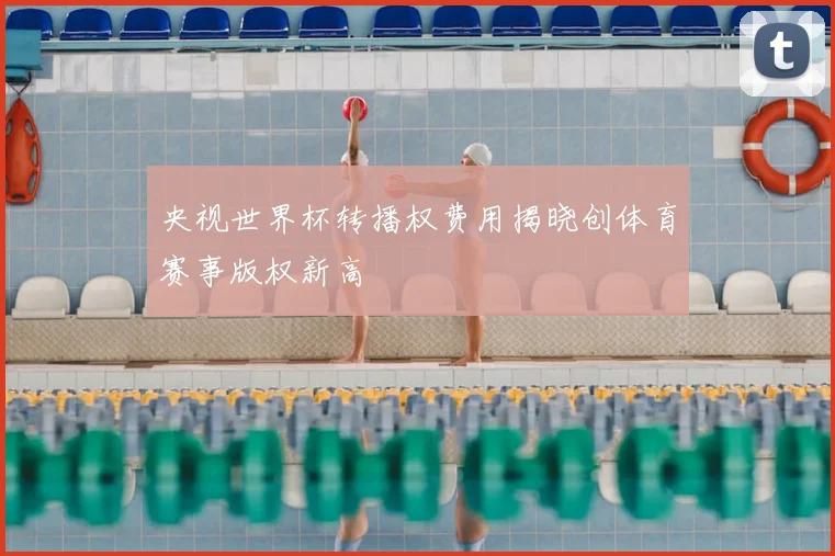 央视世界杯转播权费用揭晓创体育赛事版权新高