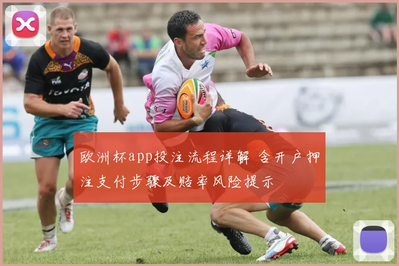 欧洲杯app投注流程详解 含开户押注支付步骤及赔率风险提示