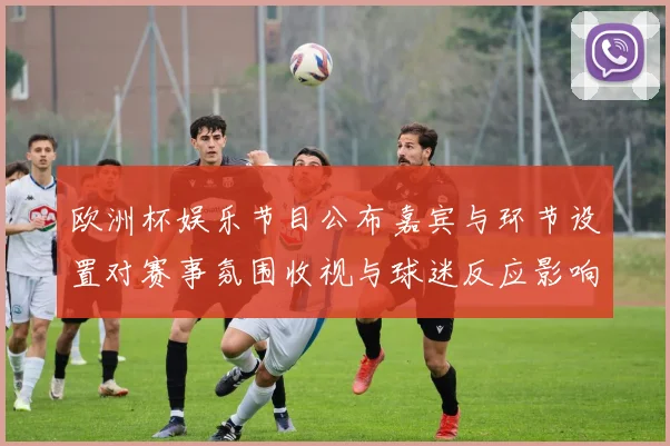 欧洲杯娱乐节目公布嘉宾与环节设置对赛事氛围收视与球迷反应影响