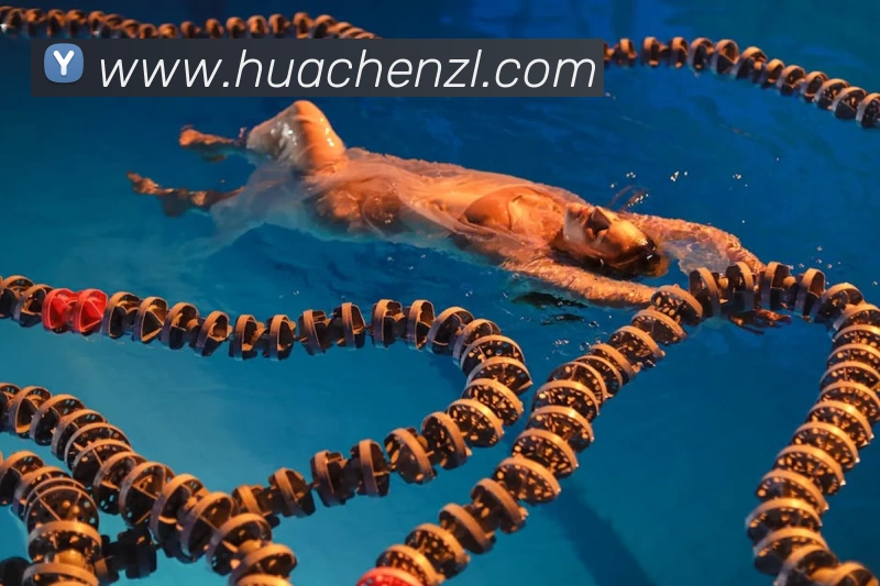 开运体育官网登录入口发展历程